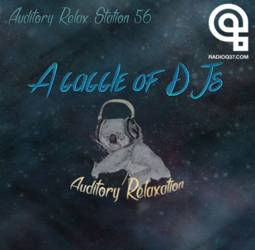 A Gaggle of DJs episode artwork