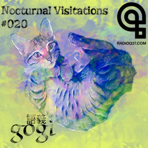 Nocturnal Visitations 020 episode artwork
