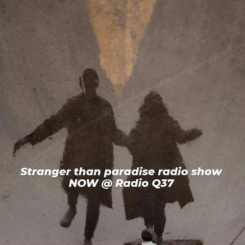 Stranger Than Paradise 221